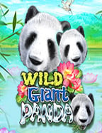 joker ฝาก 19 บาท ได้ 100 คุ้มค่าลงทุนสุดๆ